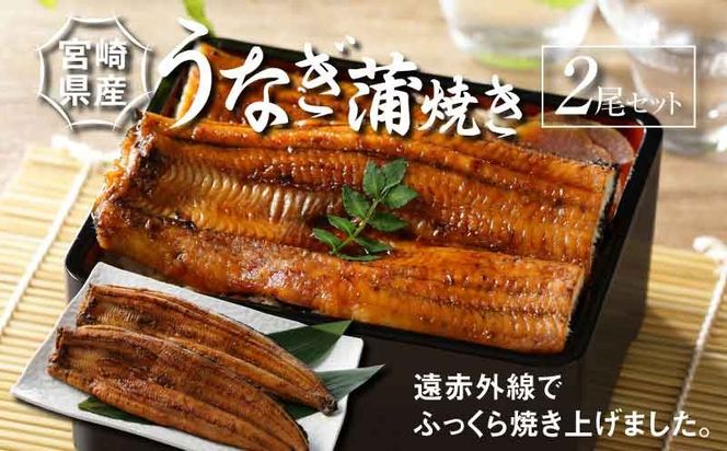 y{茧؏钬z{茧Y Ȃ Ă 2Zbg K10_0007_3