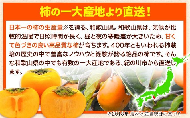【先行予約】たねなし柿（刀根早生柿・平核無柿）約4kg（12～15玉前後） 《9月中旬-11月上旬頃出荷》 和歌山県 紀の川市 種なし柿 産地直送 柿 果物 フルーツ 2L～Mサイズ カキ---wfn_wlocal78_9c11j_25_10000_4kg---