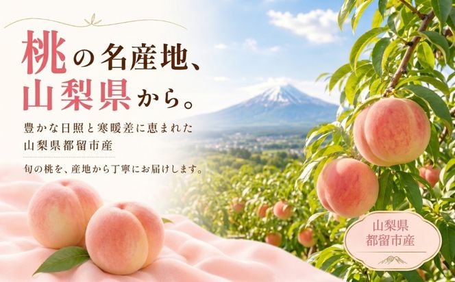 FB001 【2026年 先行予約】日本一の産地山梨県産　朝採れ桃約２kg(５～８玉）