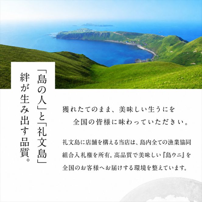 北海道礼文島産 旬凍エゾバフンウニ80g×1 魚貝類 雲丹 氷結 うに 
