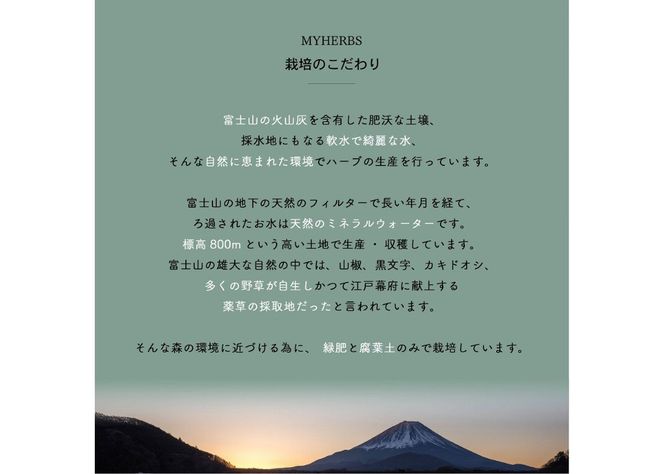 【メール便発送】ハーブティーお試しセット（ミント＆レモン/シトラス＆カモミール）ティーバッグ【選べる お試しセット】 ハーブティー 柑橘系ハーブ セット ノンカフェイン SDGs 山梨 富士吉田