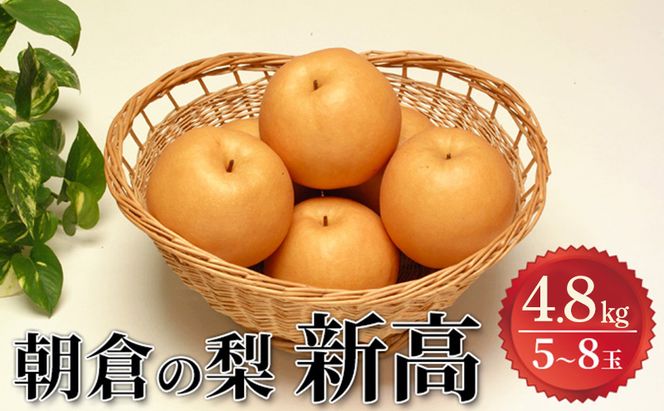 梨 新高 4.8kg 筑前あさくら農協 配送不可 離島