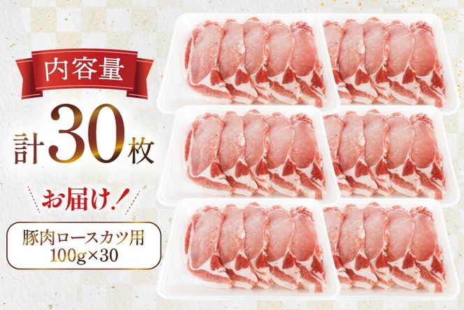 豚肉 ロース 宮崎県産 豚肉ロースカツ用 30枚 セット [TRINITY 宮崎県 日向市 452061323] 小分け 冷凍 豚 とんかつ ロースカツ お弁当 おかず