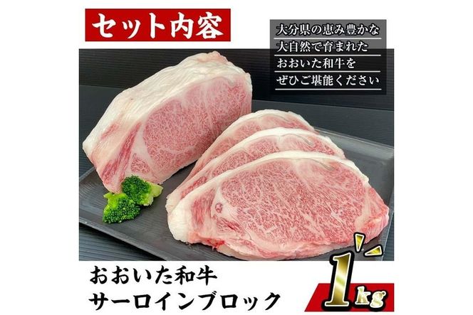 おおいた 和牛 サーロイン ブロック (1kg) 国産 豊後牛 ステーキ BBQ バーベキュー 惣菜 やきにく おかず 百年の恵み 大分県 佐伯市【BD190】【西日本畜産 (株)】