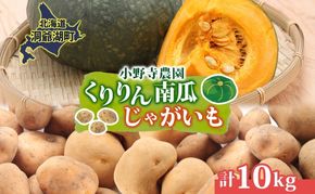 R8年産 先行受付 南瓜 くりりん じゃがいも 計10kg 2026年9月下旬よりお届け ホクホク 甘い 栗 ホクホク 産地直送 お取り寄せ 国産 小野寺農園 北海道 洞爺湖町