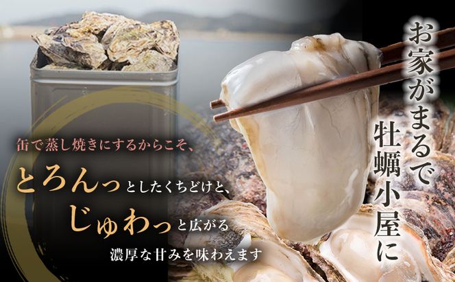 牡蠣 2026年 先行予約 かんかん焼 （ 殻付き 大つぶ牡蠣 20個） 山銀商店 瀬戸内海虫明湾産 大粒 生牡蠣 かき 魚介類 カキ かんかん焼き 軍手 ナイフ付き 加熱調理用 