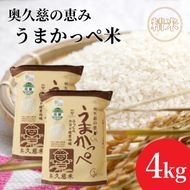 令和7年産　奥久慈の恵みうまかっぺ米（コシヒカリ）2kg×2袋 計4kg｜茨城県 大子町 お米 白米 精米 ブランド米 銘柄米 食味値 ふっくら もちもち （AH001-2）