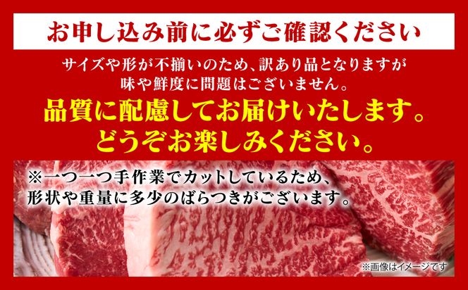 【訳あり】 【A4～A5ランク】 くまもと黒毛和牛 モモ ステーキ 約1.5kg （約100g×15パック） 和牛ステーキ 牛肉 お肉 黒毛和牛 冷凍 小分け 焼肉 BBQ おかず 熊本県 八代市