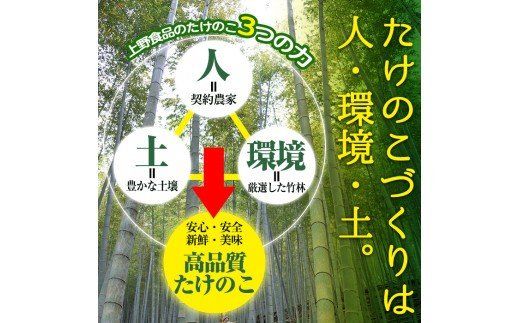 ＜先行予約受付中！2027年2月下旬以降順次発送予定＞ 【平日着】朝堀り青果たけのこ(約1.5kg) 国産 新鮮 タケノコ 青果 竹の子 筍 野菜 春 旬 期間限定 数量限定 【上野食品】akn008-04-A