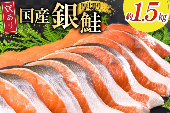 y{錧Csz󂠂 Y  ؂  ؐg 750g 2p v1.5kg [{X {錧 Cs 20565750] T[   TP VP  CN  É KiO s ؐg ؂g  ƒp A T Y Ⓚ