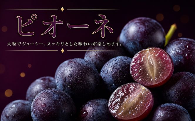 【全3回】紀州和歌山産旬のフルーツ定期便 (桃・ピオーネ・ひらたねなし柿)【tkb371】