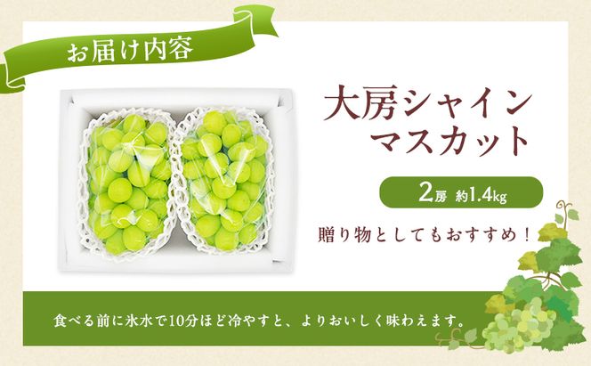 ぶどう 2026年 先行予約 シャインマスカット 大房 2房 約1.4kg ブドウ 葡萄 岡山県産 国産 フルーツ 果物 直送！せとうちバスケット 
