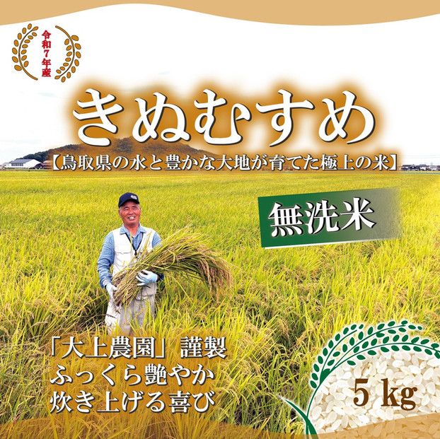 令和7年産　大上農園きぬむすめ　無洗米5kg 313726_CI005