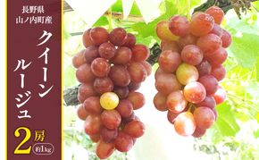 【2026年10月発送】ぶどう 先行予約 クイーンルージュ 2房 約1kg フルーツ 果物 種なし