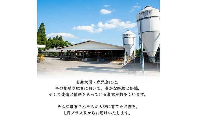 【小分け】＜A5等級＞鹿児島県産黒毛和牛 赤身ステーキ(300g×2パック・計600g) a8-080