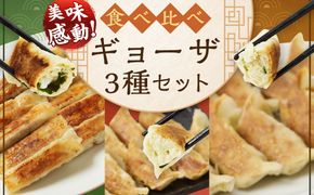 ＜たかなべギョーザの食べ比べギョーザセット【TK】＞翌月末迄に順次出荷【c1263_tk】 3種 冷凍餃子 上海棒ギョーザ みやざき地頭鶏ギョーザ 餃子 ぎょうざ ギョウザ 食べ比べ