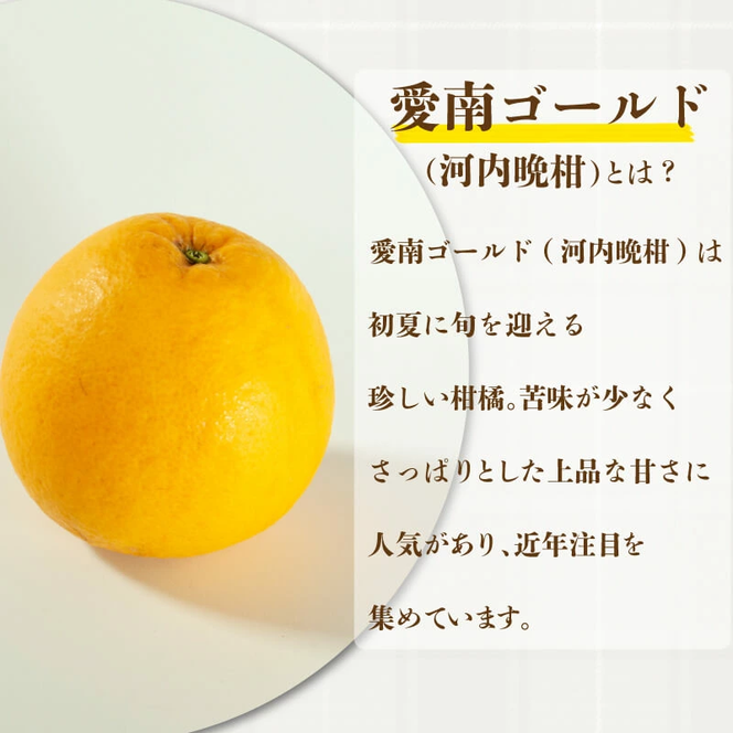 訳あり 河内晩柑 7.5kg サイズミックス 7000円 みかん かわちばんかん ミカン mikan わけあり 愛南ゴールド 家庭用 あいなん ゴールド 美生柑 文旦 派生 和製 グレープフルーツ 産地直送 国産 農家直送 期間限定 数量限定 特産品 人気 限定 甘い おいしい 小玉 含む フルーツ 果物 柑橘 蜜柑 アイス ジュース 等に 規格外 大樹農園 愛南町 愛媛県