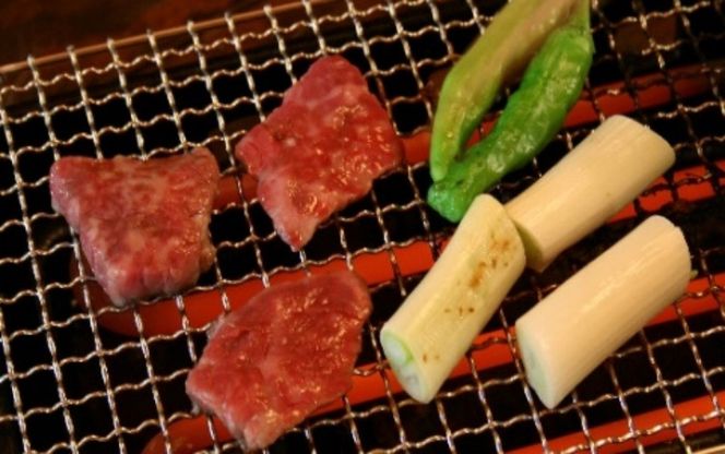 伊賀焼 あぶり名人 長角型（シーズヒーターコンロ） ngtn0042