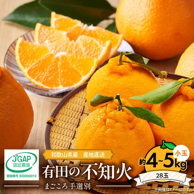 ZE6101n_【2027年先行予約】有田の不知火(しらぬひ）約4kg～5kg　小玉28玉（Sサイズ）まごころ手選別