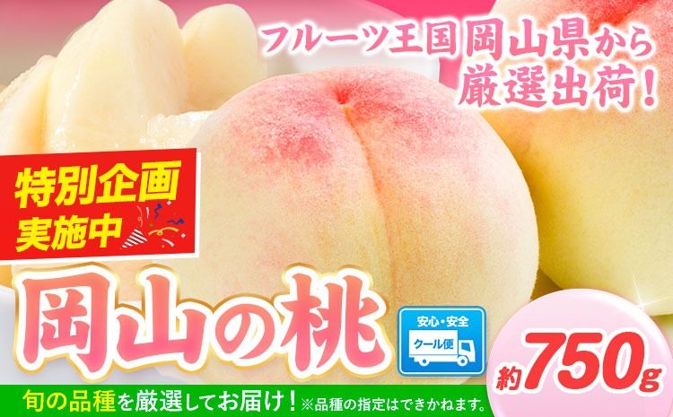 桃 岡山県産 岡山の桃 約750g 内容量[1-5営業日以内に出荷(土日祝除く)] ご家庭用 訳あり 白桃 岡山 白桃 はくとう スイーツ フルーツ 果物 デザート 旬 岡山県 矢掛町 モモ もも 送料無料 清水白桃 白鳳 白麗---yakage_loc_22_h---