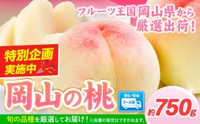 桃 岡山県産 岡山の桃 約750g 内容量《1－5営業日以内に出荷（土日祝除く）》 ご家庭用 訳あり 白桃 岡山 白桃 はくとう スイーツ フルーツ 果物 デザート 旬 岡山県 矢掛町 モモ もも 送料無料 清水白桃 白鳳 白麗---yakage_loc_22_h---