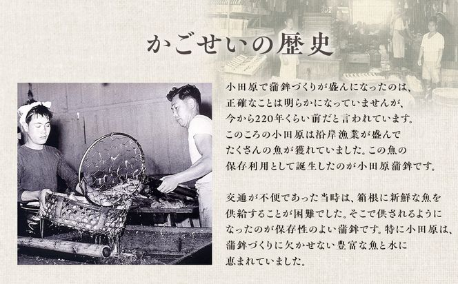 【小田原籠清】酒肴百選 創業1814年 二百有余年の歴史を重ねた小田原老舗 かごせい 職人の技で仕上げた高級細工蒲鉾詰合せ 142069_AV009