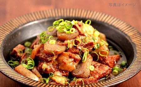 【A4ランク糸島和牛】 希少部位 カッパスジ 800g 糸島市 / いとしまミートデリ工房 [ACA375] 牛肉 牛 和牛 黒毛和牛 希少部位 カッパ カッパ筋 赤身 スジ 煮込み