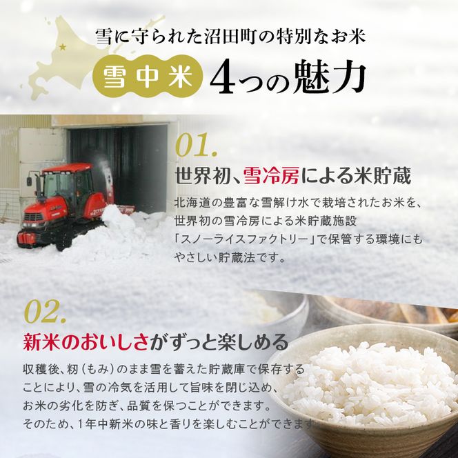 令和8年産【定期便3ヶ月】ななつぼし 精米 5kg（5kg×1袋）【2月発送】 開始 雪冷気 籾貯蔵 雪中米 北海道 nr-2179
