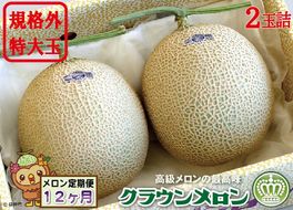 【12ヶ月定期便】クラウンメロン　規格外特大玉（約1.7kg）2玉入 果物類 メロン青肉 