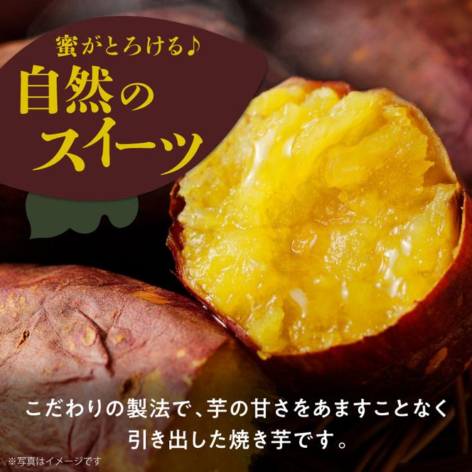 【先行予約】2026年10月より順次発送開始 あまはづき焼き芋 500g×4袋 N0152-YA1115