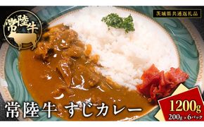 常陸牛 すじカレー 200g ×6 【茨城県共通返礼品】　カレー 牛すじ お肉 牛肉 簡単 冷凍 レトルト