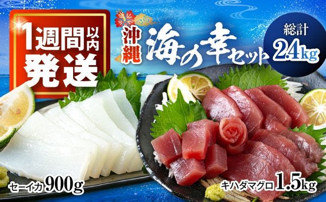 yꌧszC̍KZbg (ⓀLn_}O1.5kg / Z[CJ0.9kg) s / sƋg pIX[BCDZ005]