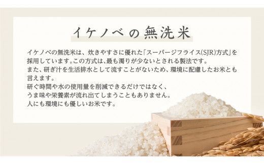 《 令和7年産 》《 食べ比べ セット 》 茨城県産 無洗米 コシヒカリ ・ ミルキークイーン 計 10kg (各 5kg × 1袋 )  食べ比べ セット こしひかり 米 コメ こめ 五ツ星 高品質 白米 精米 時短 お弁当 期間限定 [AC033us]