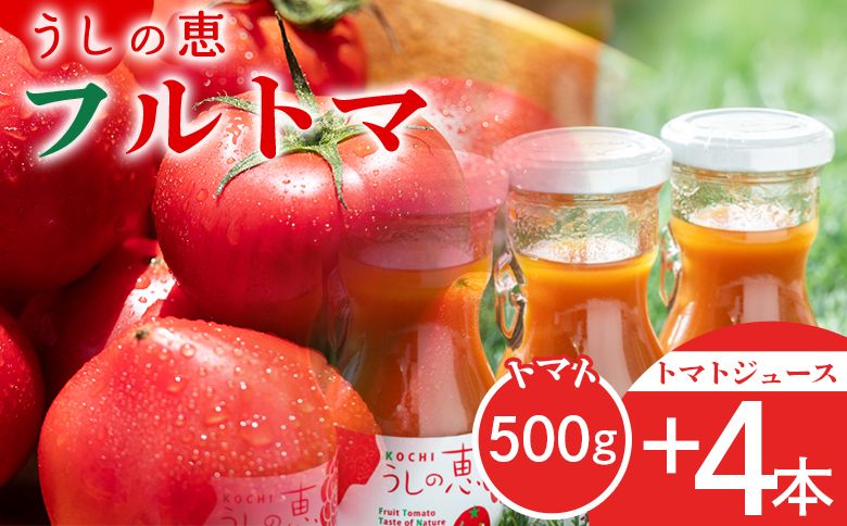 野菜ジュース 野菜ソムリエが育てた うしの惠フルーツトマト500g+トマトジュース4本 - 野菜 とまと 産地直送 料理 アレンジ サラダ 鍋 サンドイッチ 完熟 リコピン 甘い mj-0026