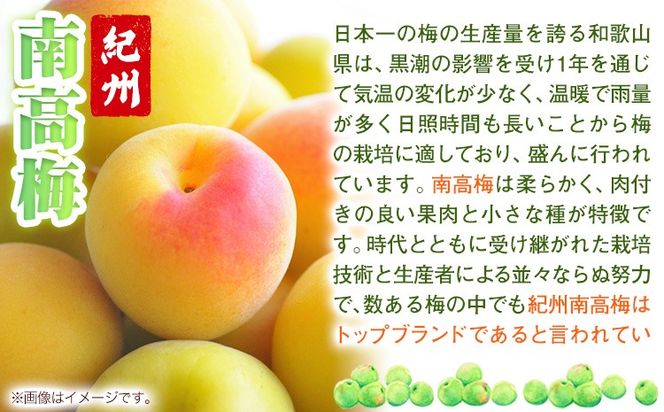 南高梅 tomato-ume とまと 梅 100g×4 有限会社プラム《30日以内に出荷予定(土日祝除く)》和歌山県 日高川町 送料無料 梅 うめ ウメ 南高梅 紀州 トマト梅 送料無料---wshg_plm3_30d_26_10000_5---