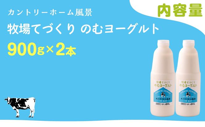 のむヨーグルト 900g ×2 SKB031
