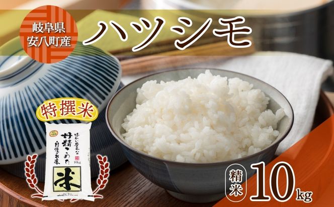 R7年産  特選米 ハツシモ 精米 10kg ×1袋 お米 米 白米 ごはん  精白米 ご飯 はつしも 令和7年産 ブランド米 低農薬 お取り寄せ 産地直送 クリーンファームまき 送料無料 岐阜県 安八町