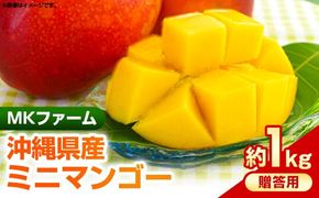 【2025年発送】MKファームの贈答用ミニマンゴー約1kg【贈答用】- 贈答用 ギフト 沖縄県産 産地直送 南国フルーツ 旬の味覚 ミニマンゴー オススメ 沖縄県 八重瀬町