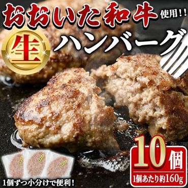 おおいた和牛 生 ハンバーグ (計1.6kg・160g×10個) 牛肉 肉 生ハンバーグ 惣菜 おかず 黒毛和牛 和牛 ブランド牛 冷凍【HE08】【(株)吉野】