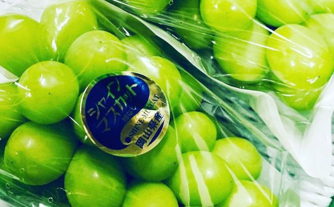 ぶどう 2026年 先行予約 シャイン マスカット 2房 合計1.4kg以上 ブドウ 葡萄  岡山県産 国産 フルーツ 果物 ギフト 河本農園 果物類 シャインマスカット 