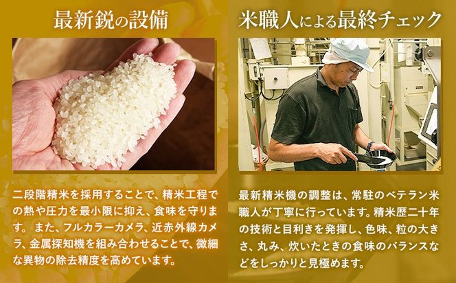 新米 令和7年産 【2ヶ月定期便】 こしひかり 選べる 精米方法 白米 無洗米 5kg 10kg 15kg 20kg 熊本県産(南阿蘇村産含む) 単一原料米 南阿蘇村 産 米 定期便《お申込月の翌月から出荷開始》---kh7tei_25000_5kg_mo2_mna_h---