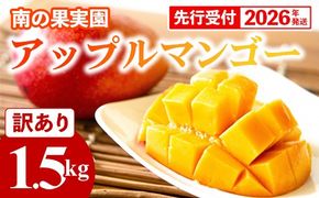 【先行受付】【2026年発送】南の果実園 アップルマンゴー 訳あり品 1.5kg（3～7玉）- 先行予約 沖縄県産 産地直送 南国フルーツ 旬の味覚 季節の果物 ご自宅用 家庭用 沖縄県 八重瀬町