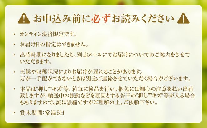 瀬戸ジャイアンツ 約2kg 3～5房 ぶどう 葡萄 フルーツ 岡山 高梁市産 2026年 先行予約 果物類 果物 
