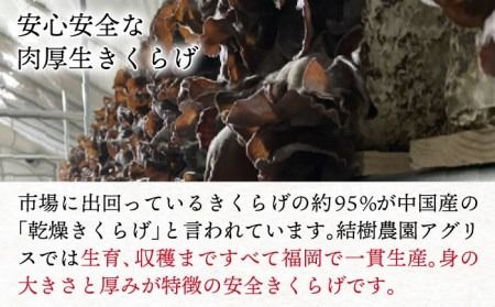 結樹農園 アグリス めんたい きくらげ 300g 《糸島》【結樹農園アグリス】きくらげ/国産/明太/明太子 [AAJ001]