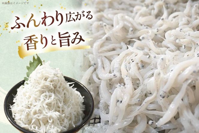 静岡県産 駿河湾 しらす 桜えび 極上品4種豪華セット（釜揚げしらす 釜揚げ桜えび 生しらす 生しらす沖漬け）計950g [丸三水産 静岡県 吉田町 22424771] シラス しらす 釜揚げシラス 桜エビ サクラエビ 桜海老 駿河湾