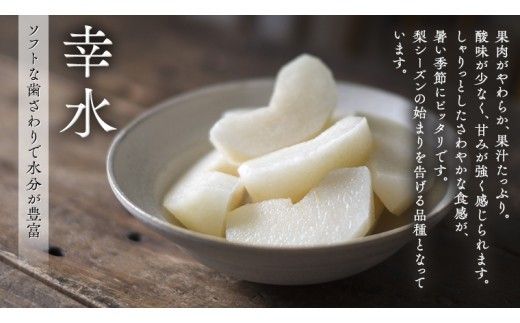 【 JA 北つくば 】 筑西ブランド 認証品 幸水 5kg 果物 2026年産 先行予約 梨 フルーツ なし ナシ 幸水梨 くだもの デザート 茨城 [AE008ci]