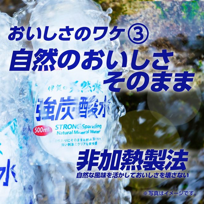 サンガリア伊賀の天然水 強炭酸水2ケース（1リットル×24本） 【igge0002】