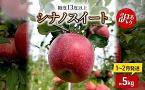 りんご 【1～2月順次発送】 糖度13度以上 訳あり品 家庭用 シナノスイート 約5kg【 青森りんご 】