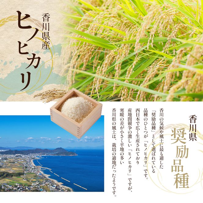令和8年産　新米「ヒノヒカリ」10kg（玄米） お米 10kg 