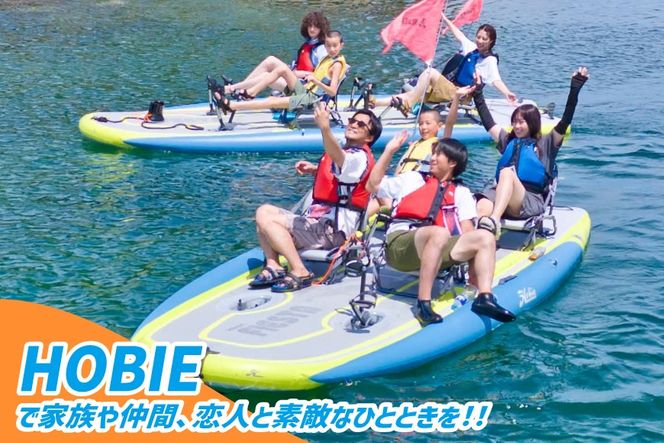 チケット 足漕ぎカヤック HOBIE 志津川湾 クルージング 体験 2名様分 [サスティナビリティセンター 宮城県 南三陸町 m304blw940000] チケット ペアチケット カヤック アウトドア 旅行 観光 体験会 券 ペア